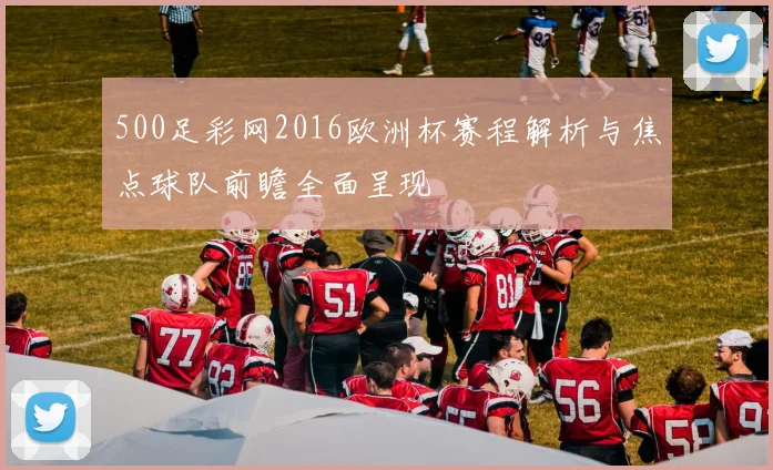 500足彩网2016欧洲杯赛程解析与焦点球队前瞻全面呈现
