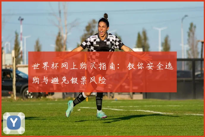 世界杯网上购买指南：教你安全选购与避免假票风险