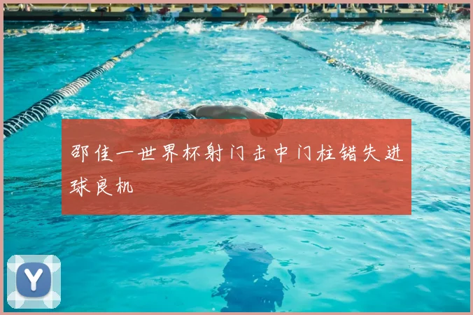 邵佳一世界杯射门击中门柱错失进球良机