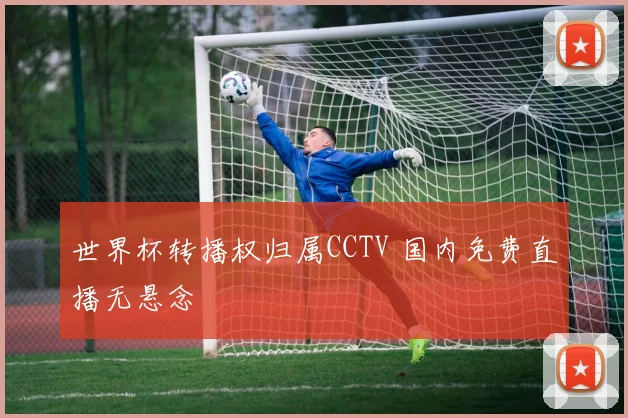 世界杯转播权归属CCTV 国内免费直播无悬念