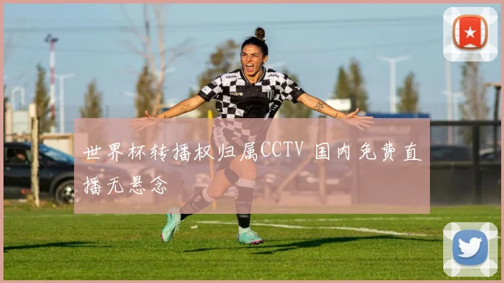 世界杯转播权归属CCTV 国内免费直播无悬念
