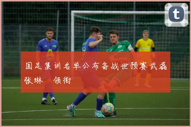 国足集训名单公布备战世预赛武磊张琳芃领衔