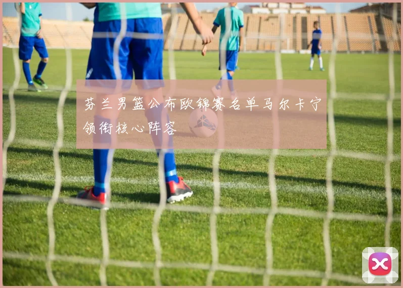 芬兰男篮公布欧锦赛名单马尔卡宁领衔核心阵容