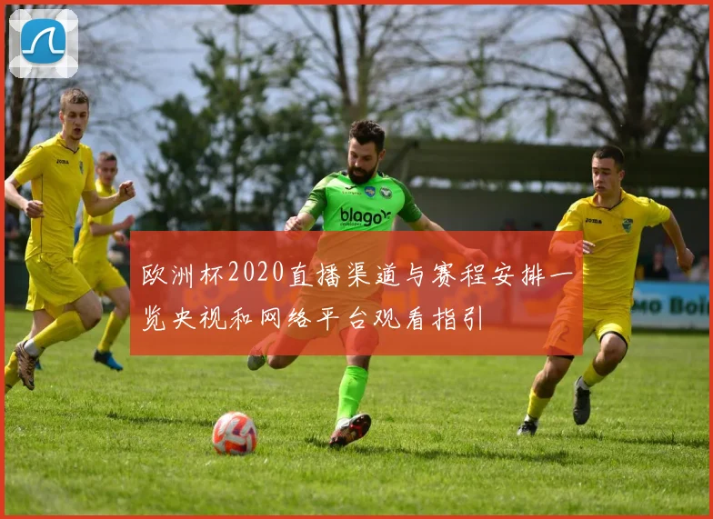 欧洲杯2020直播渠道与赛程安排一览央视和网络平台观看指引