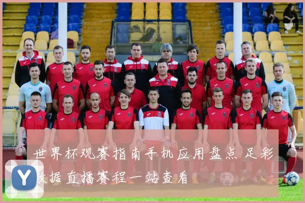 世界杯观赛指南手机应用盘点 足彩数据直播赛程一站查看