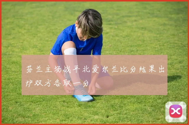 芬兰主场战平北爱尔兰比分结果出炉双方各取一分
